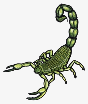 Scorpion Tattoos Clipart Tail - Tattoo