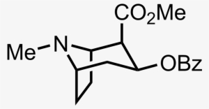 Structure Of Cocaine - Diagram