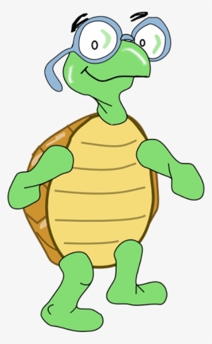 turtle - uruguay