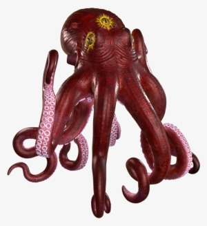 Octopus Png