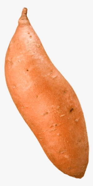 Single Yam - Single Sweet Potato Png