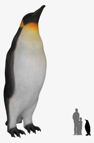 King Penguin Bird Antarctica - Queens Of Christmas 3.5' Male King Penguin Statue