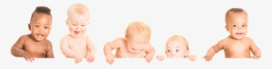Babies - Infant