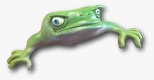 Don Juan Frog Art - Toad