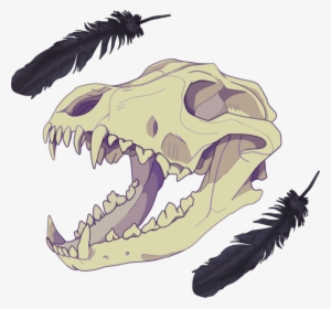 17 Best Croc Images - Animal Skull Drawing Transparent