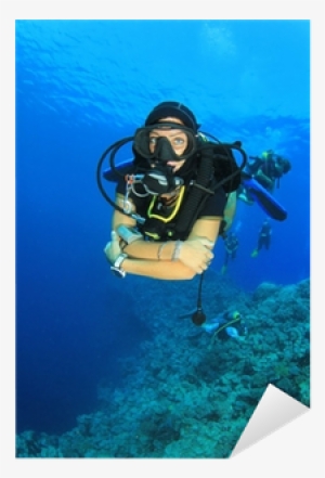 diving regulator