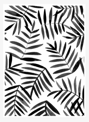 Image Of Black Palm - Black And White Background Design