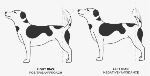 Wagging Tails Position - Treeing Walker Coonhound