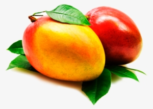 Mango - Mango Fruta