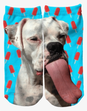 Semi's Happy Tail - Boxer