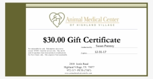 Veterinary Health Certificate Template