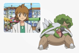 Torterra