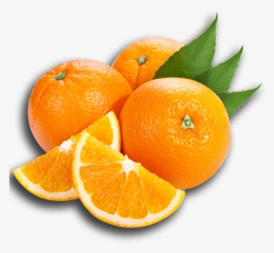 Prev - Oranges Png