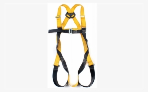 Ppe/pfpe Inspections - Forklift Harness