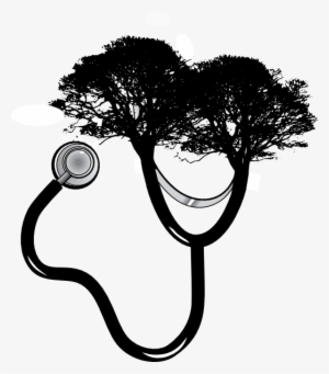 Stethoscope-tree Clip Art At Clipart Library - Stethoscope On A Tree