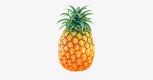 Pineapple Galaxy S4 Case, Black