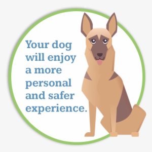 Your Dog Will Enjoy The Temperature Controlled Indoor - German Shepherd