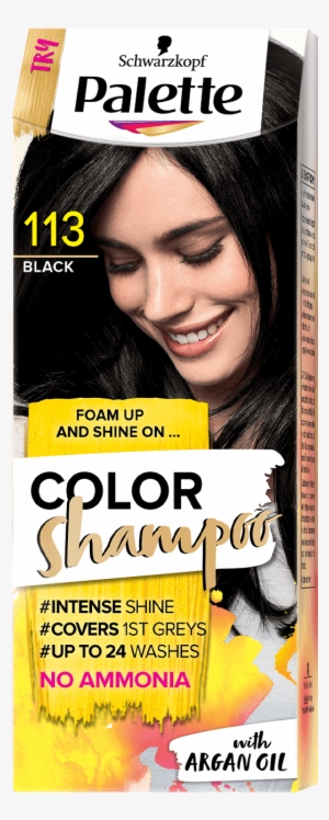 Palette Com Cs Baseline 113 Black - Palette Color Shampoo