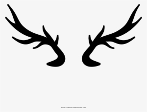 Deer Horns Coloring Page - Chifre De Veado Png