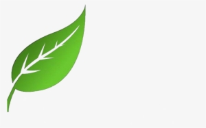 Leaf 04 Free Vector / 4vector - Newleafcic Org