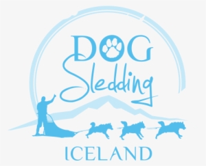 Dog Sledding Iceland, Home Is Where The Dogs Are Dog - Guide To Iceland