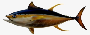 Ahi Tuna Png Transparent Image - Transparent Tuna Fish