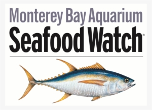 Sfw Type And Tuna-01 Copy - Monterey Bay Seafood Watch Logo
