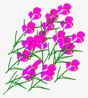 Botanical Png