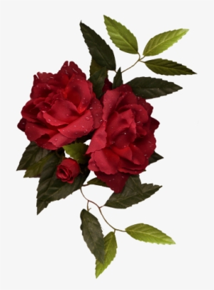Dbv Rose Rose In 2018 - Imagenes Rosas Bordadas Png