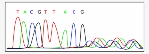 #13 New Dna Sequencing Device - Electropherogram