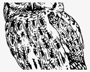 Horned Owl Clipart Flying - Fuck Off Irritable Owl Syndrome