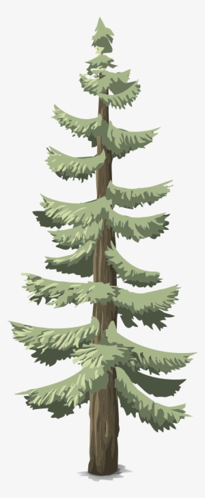 Pines Conifer Trees Tall Woods - Arbol De Bosque Png