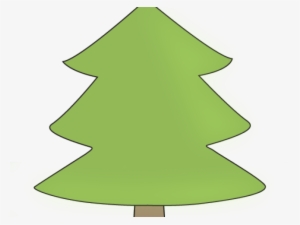 Pine