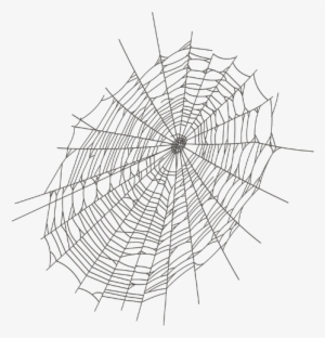 Transparent Spider Web Png