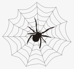 Spider, Spider's Web, Spiderweb, Cobweb, Creepy - Spider In Web Drawing