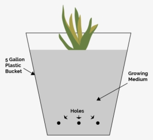Simple Bucket Hydroponic System - Hydroponics