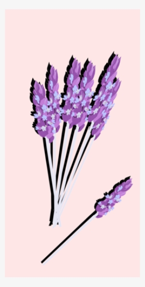 English Lavender Clipart - Make Your Own Flavored Sugar Cubes