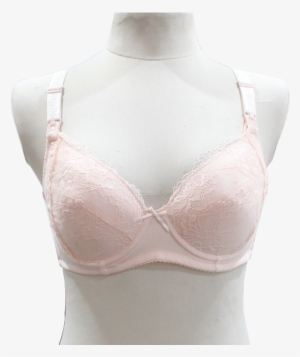 Mother's Arm - Brassiere