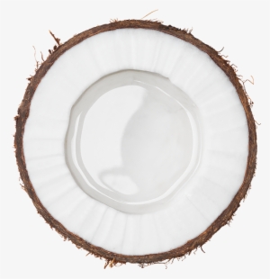 Circle