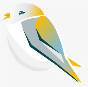 Full Service Marketing Dfw - Coraciiformes