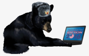 Russian Bear