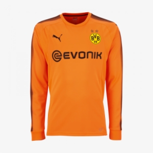 17/18 Borussia Dortmund Goalkeeper Orange Ls Football - Dortmund Gk Kit 17 18