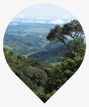 Liberia Landscape