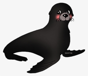 Far North Seal - Seal Images Clip Art