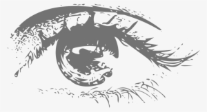 Cool Eye Vector By Cateyes To Cattails - Eyes Vector Png