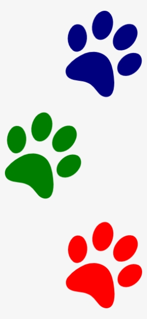 Paws Green Red Blue - Blue And Red Paws