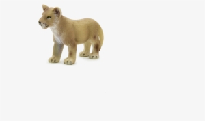 Animal Planet Lion Cub Standing - Animal Planet: Lion Cub Standing