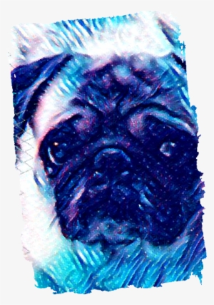 Model Image Graphic Image - Pug