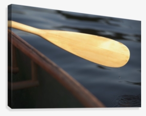 Canoe Paddle Canvas Print - Plywood