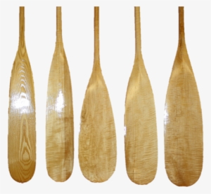 Curly Maple & Ash Canoe Paddles - Ash Canoe Paddle